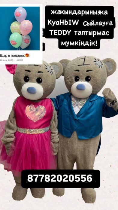 Прокат Тедди мишка