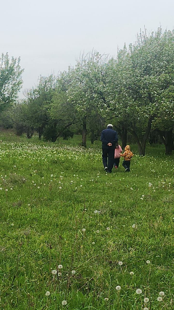 Участки в РАССРОЧКУ! Ровные в предъгорье