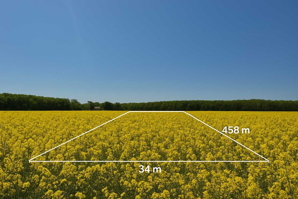 Teren Intravilan Dascalu Ilfov 13500 m2