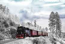 Tren în Salcia Olt
