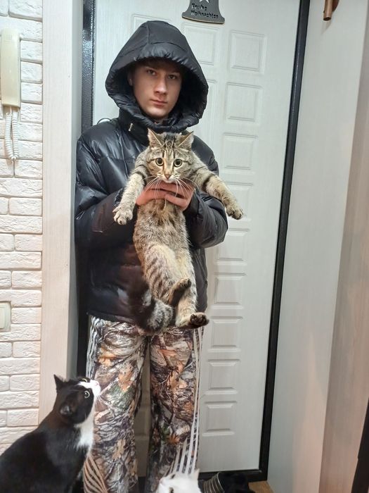 Ищет дом кошечка,возраст 1 год