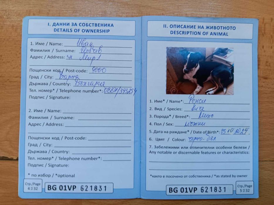 подарявам куче на име рекси