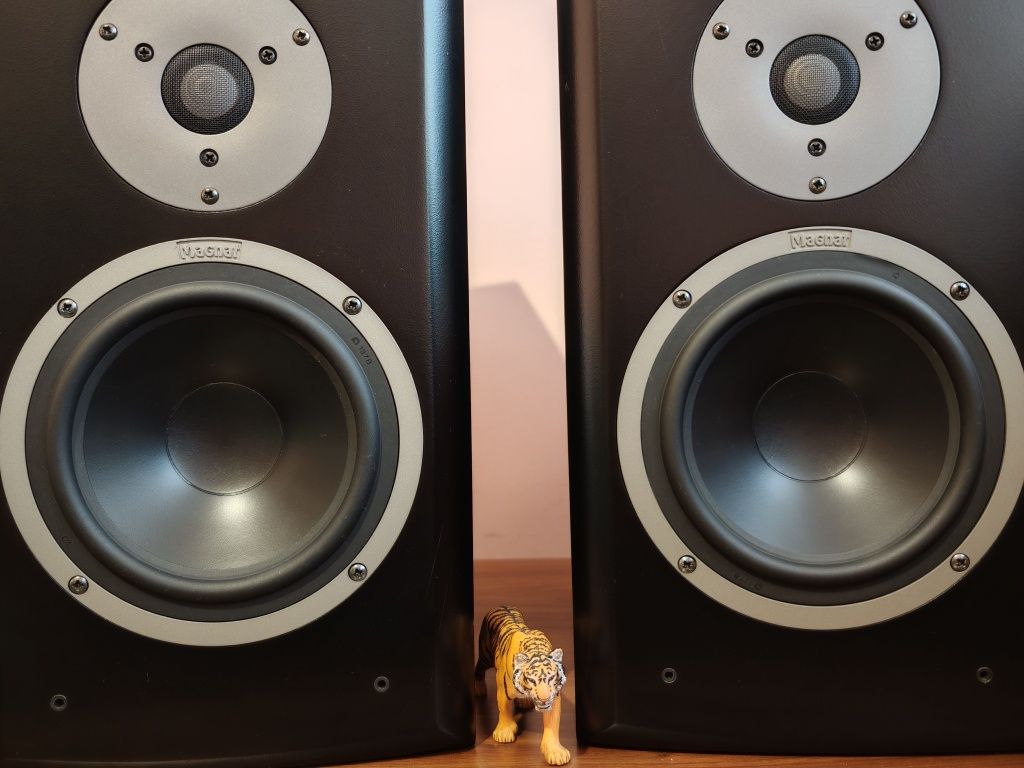 Magnat Vector 22. Super boxe de raft. Model,,greu"audiofil. Preț fix !