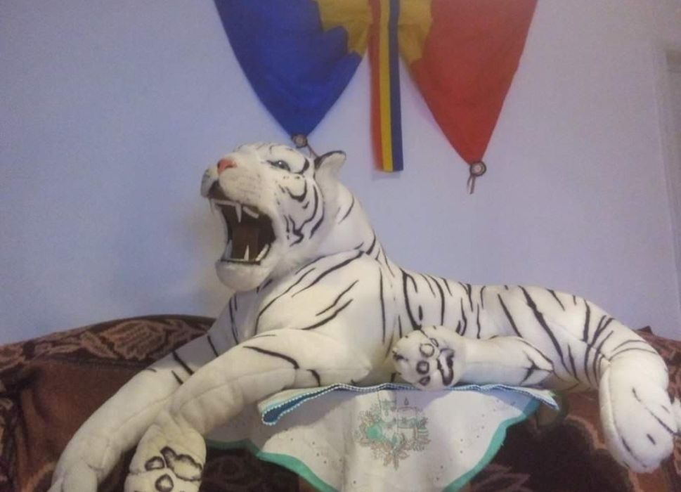 JUCĂRIE din pluș pentru copii