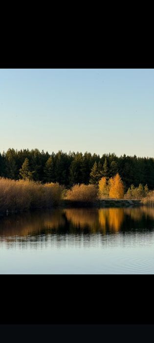 Дом в лесу для отдыха