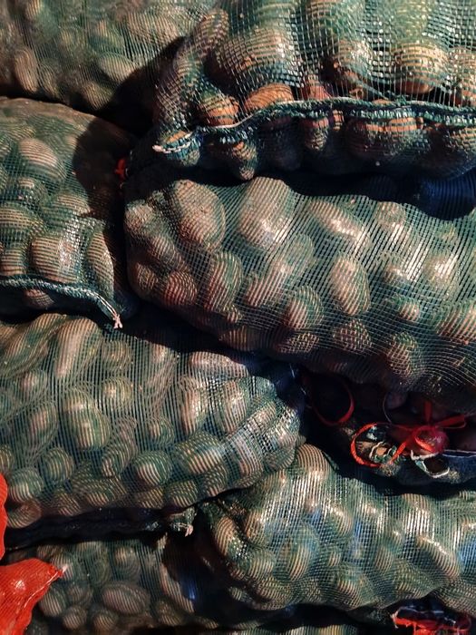 Продаётся картошка