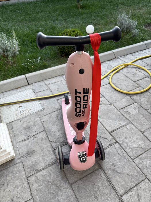 Trotineta Scoot and Ride 2in1 Roz