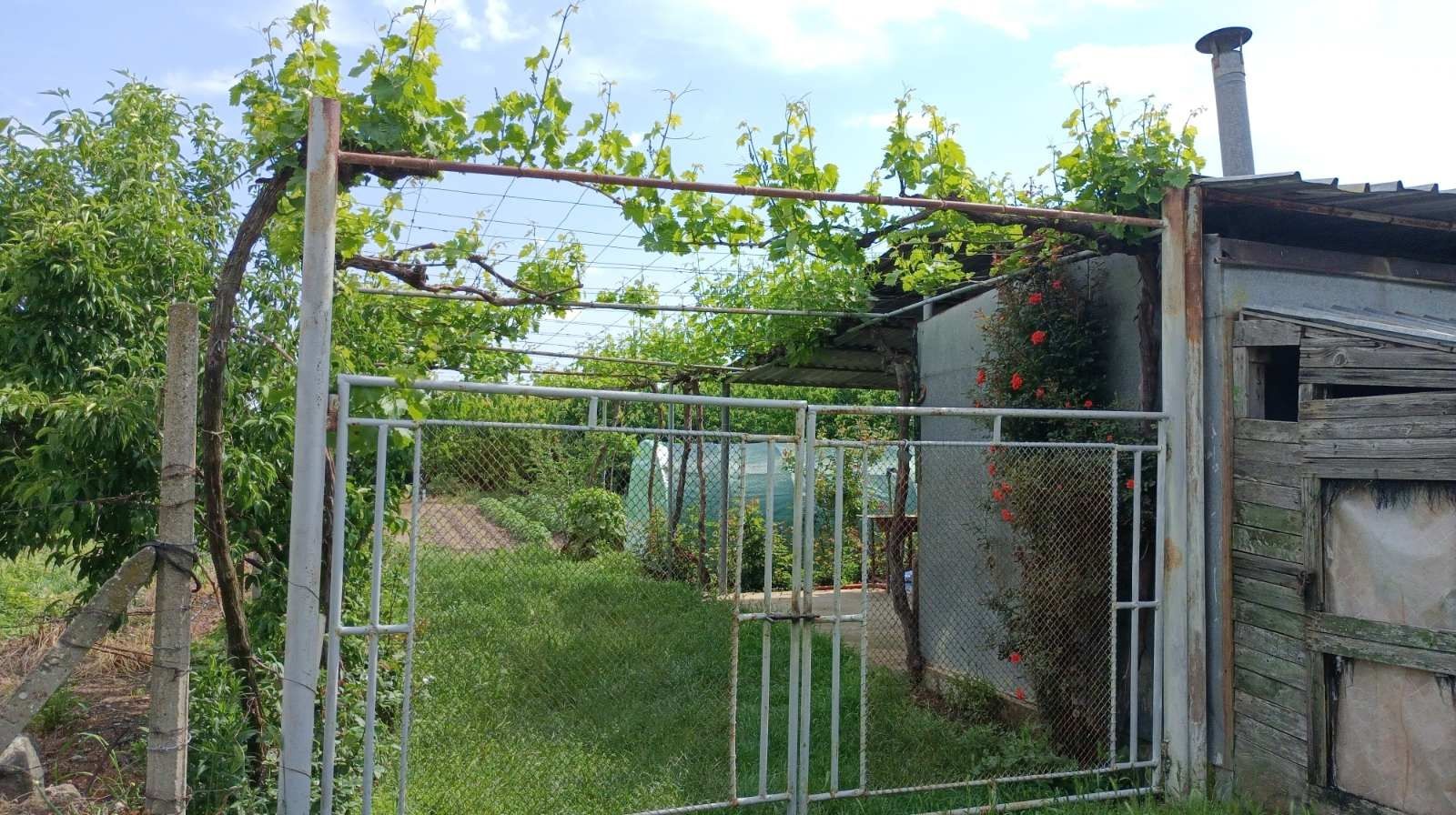 Овощна градина в село Тополчане