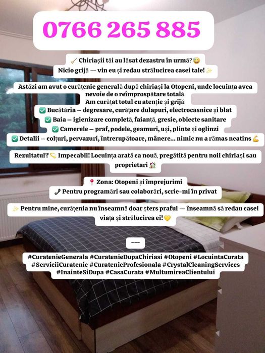 Curățenie generală și de întreținere