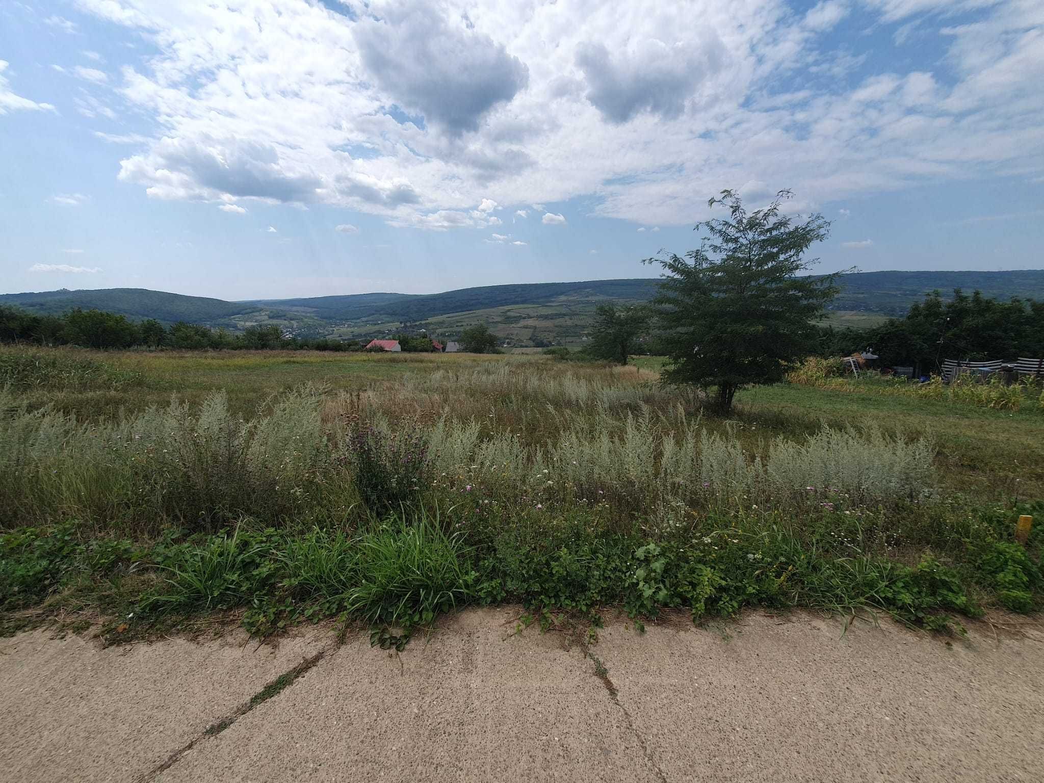 Teren Chicirea (Tomesti)  1.219 mp, 25 euro/mp