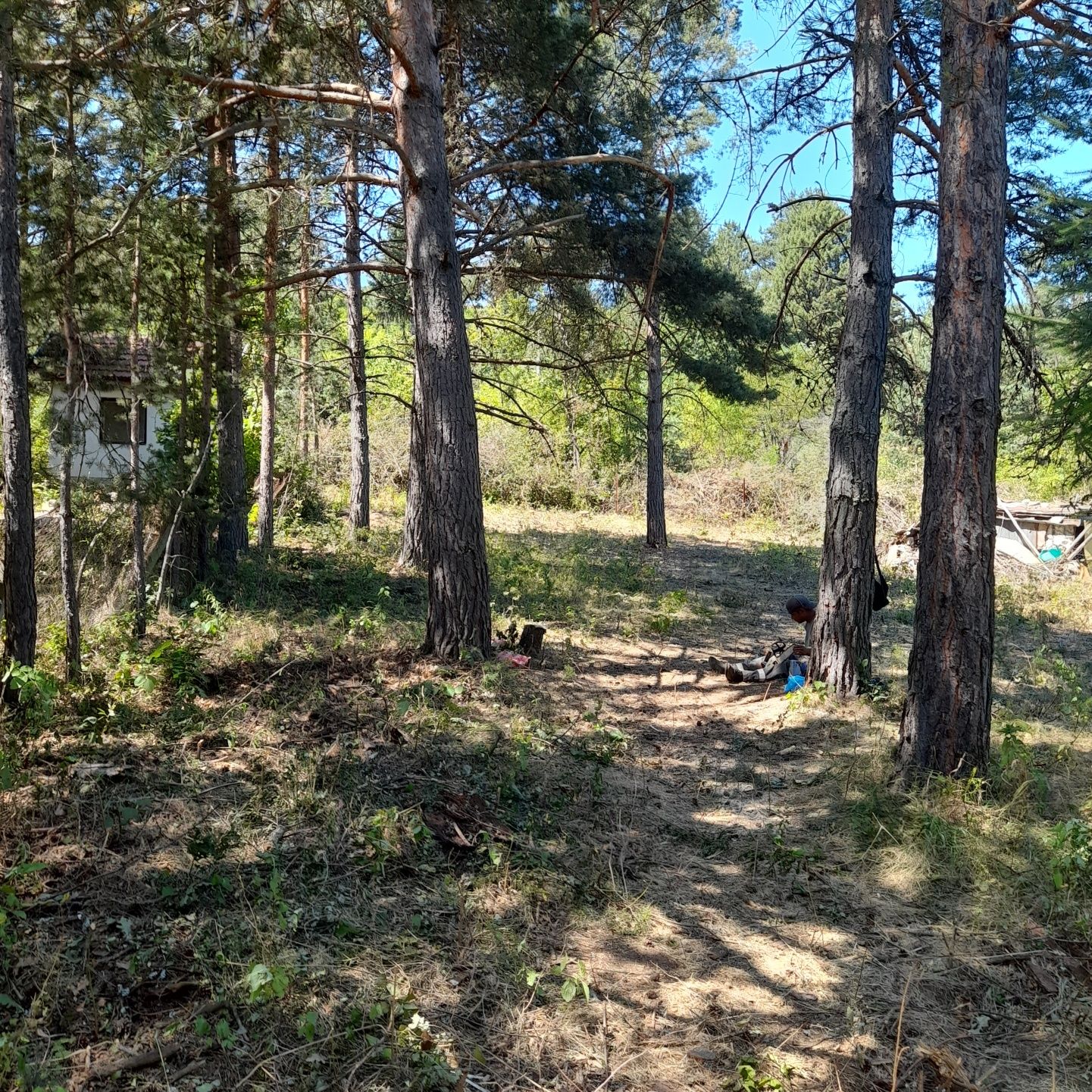 Парцел Щъркелово гнездо