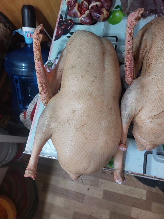 Продам мясо  домашних гусей