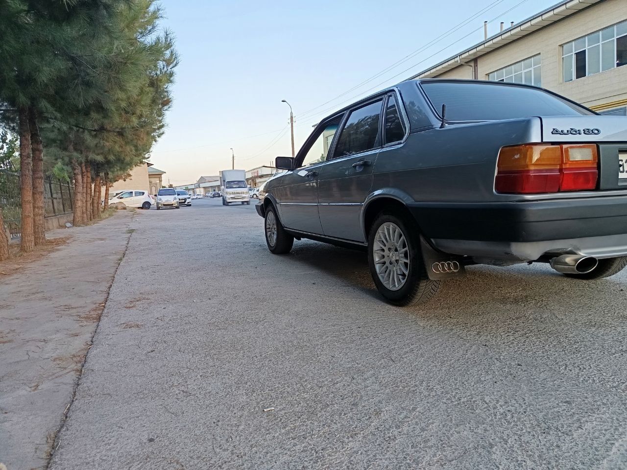 Audi 80 1986 рейсталинг