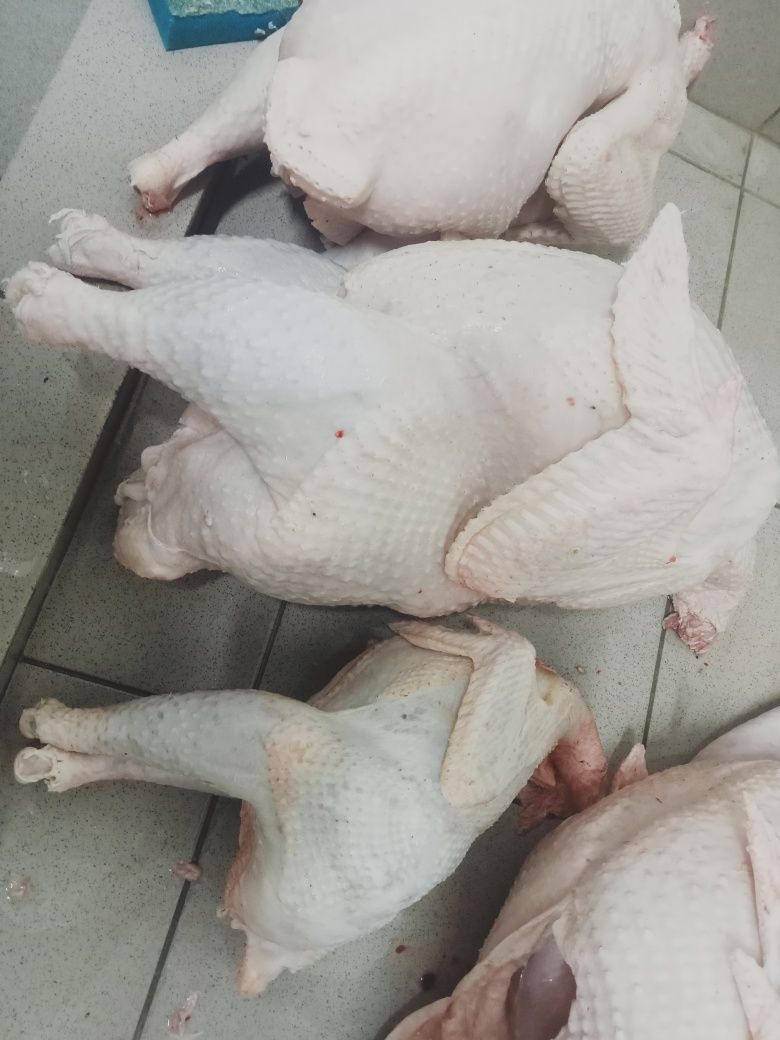 Продам мясо Индейки