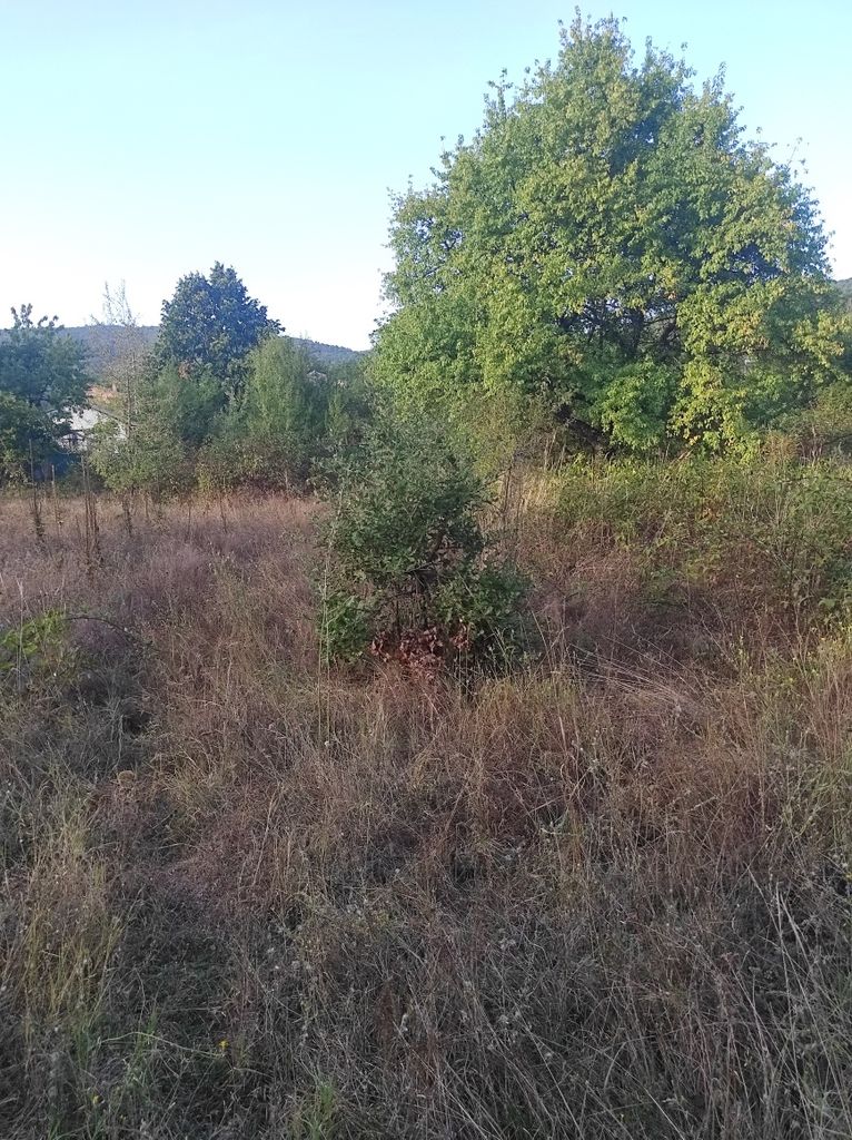 Продава се Парцел в с. Сърнегор, Област Пловдив - 433 кв.м за 18 €/кв.м - Снимка #14