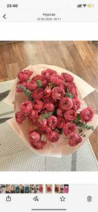 Красивые розы свежые розовые