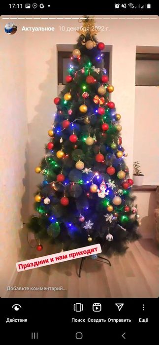 Archa oyinchoglari bn