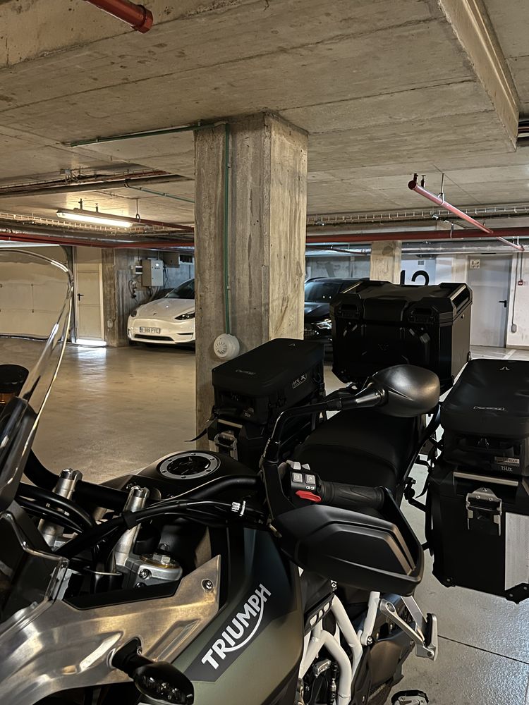 2023 Tiger 900 Rally Pro