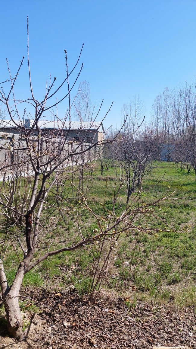 Ховли сотилади самарканд туман Янгижой, Зафаробод махаласи