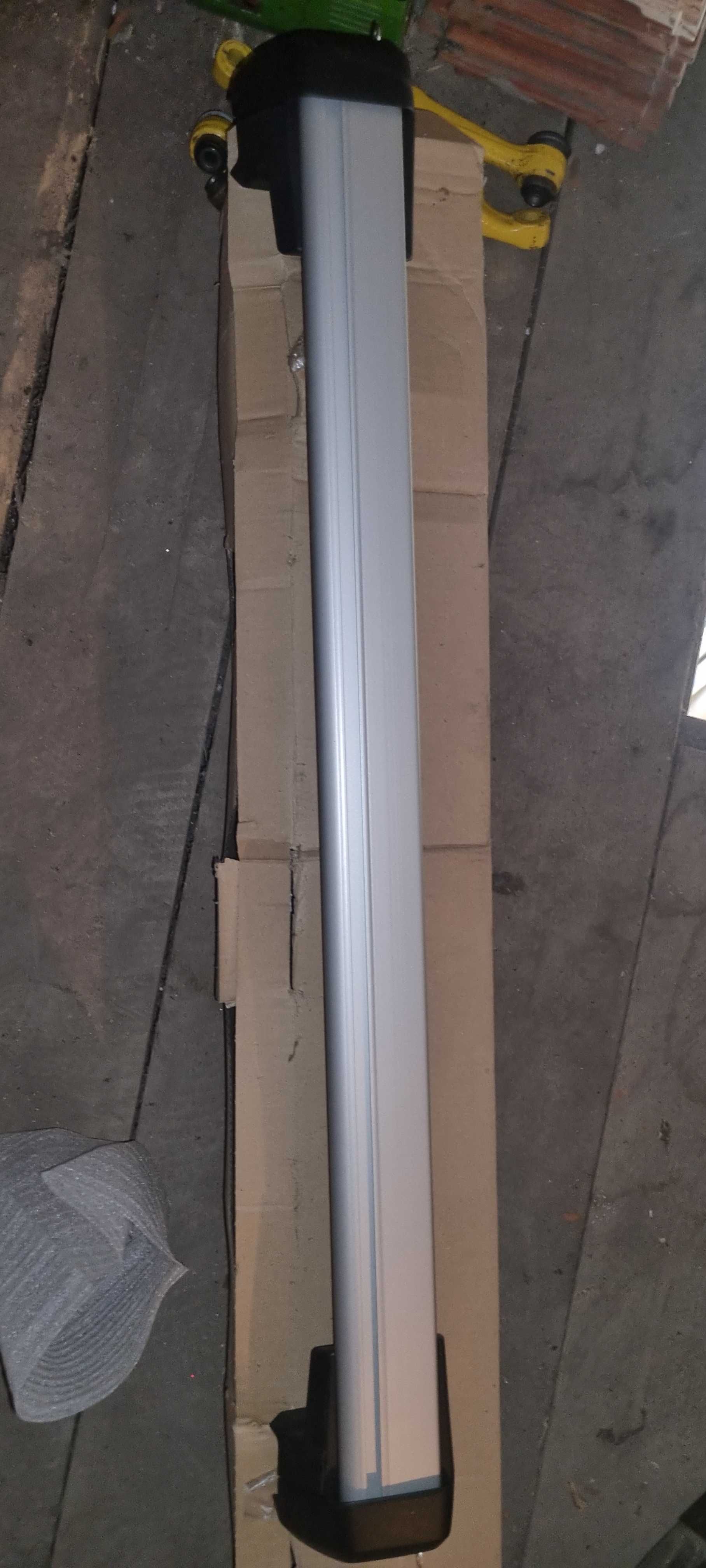 Inchiriez portbagaj auto Thule; Suport Biciclete; Bari; Cleme Scara