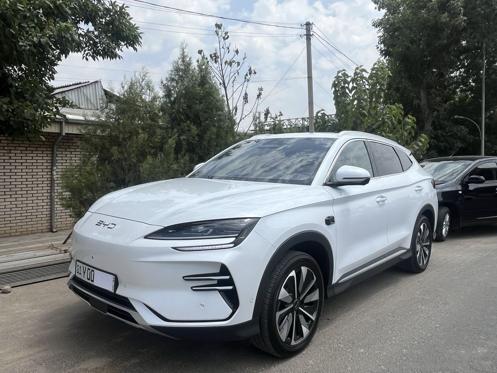 BYD Champion Smart 2025
