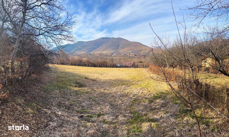 Vand Teren, Intravilan, 2300 mp