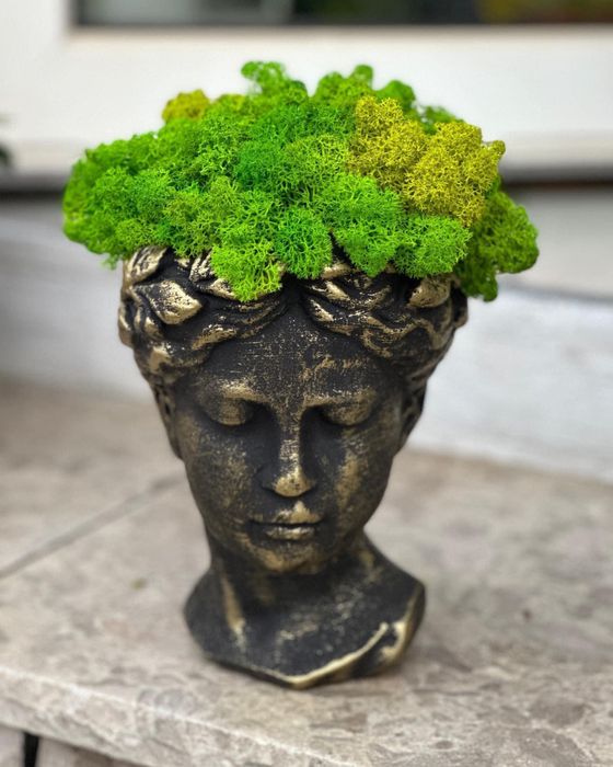 Decoratiuni cu licheni