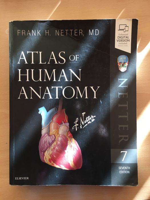 Atlas de anatomie Netter