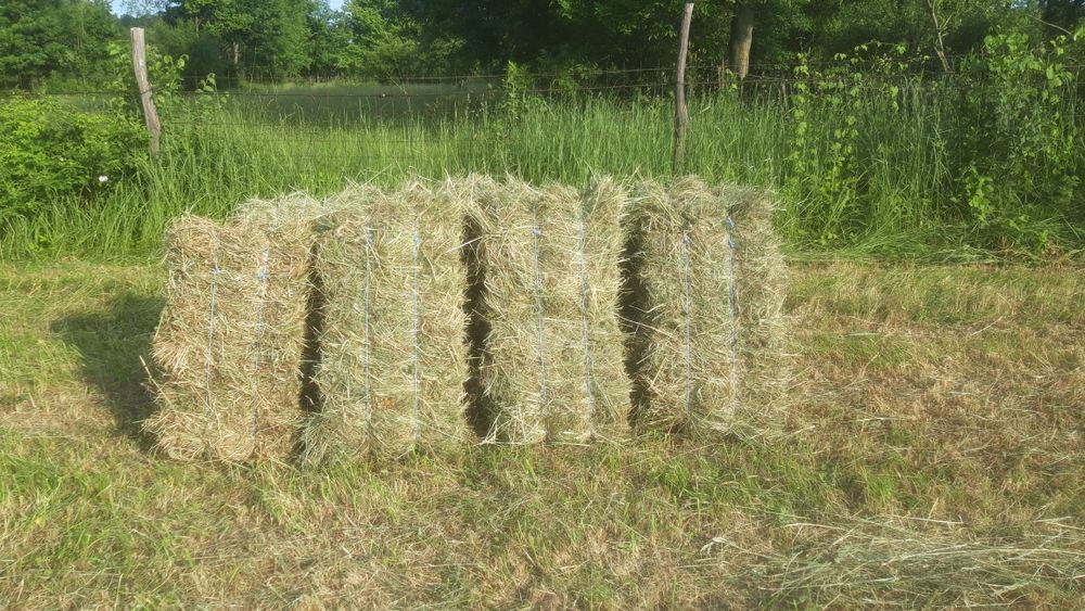 Vând baloți de fân