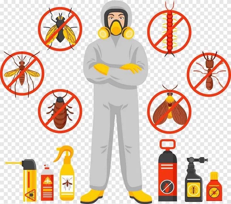 Дезинфекция от тараканов, клопов и других насекомых