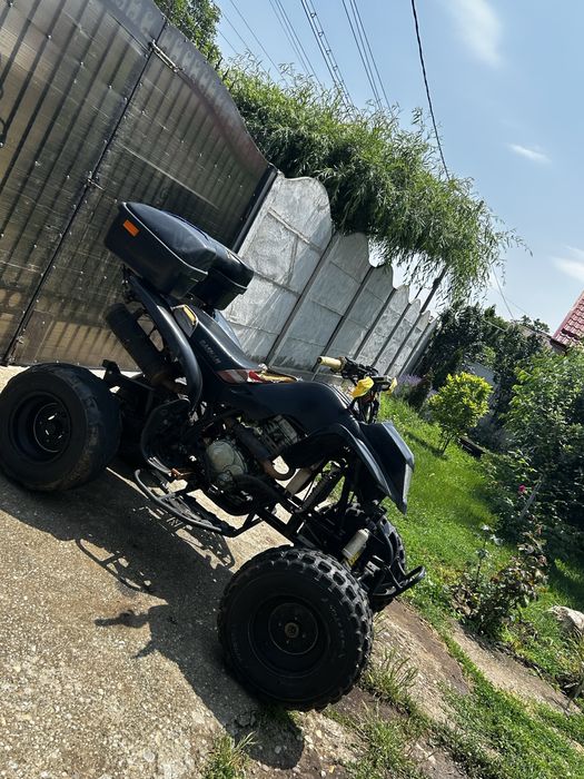Bashan  250.