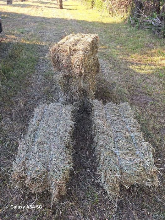 Vând baloți de fân