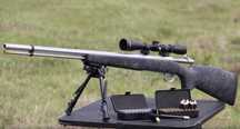 **Pusca Vanatoare/Pasari/Sniper Airsoft Modificat Extrem de Puternica*