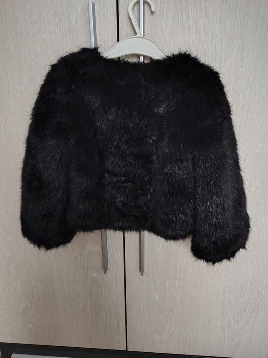 Blăniță Nissa superbă