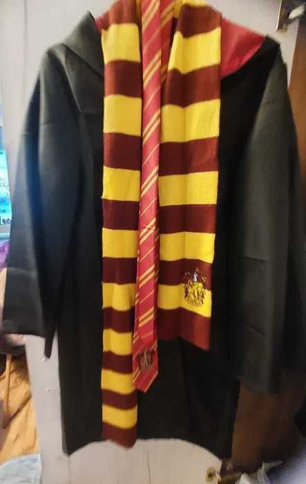 costum carnaval Harry Potter