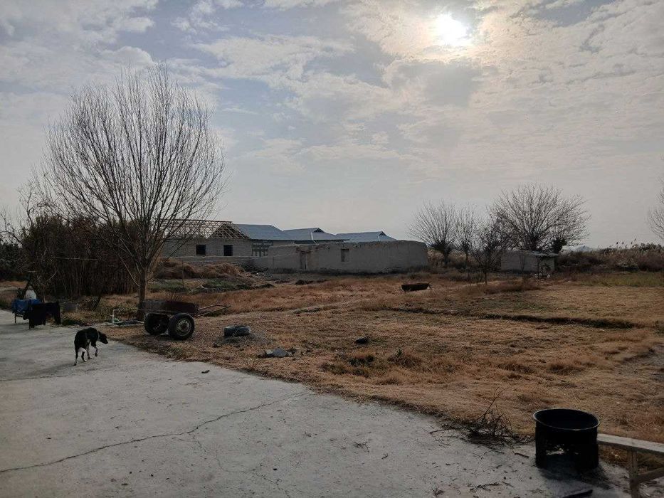 Hovli joy sotiladi Navoiy Karmana