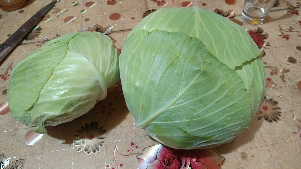 Varză de vanzare