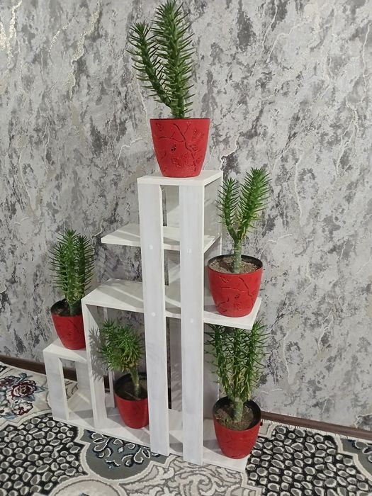 Po'lka Gul va boshqa buyumlar uchun