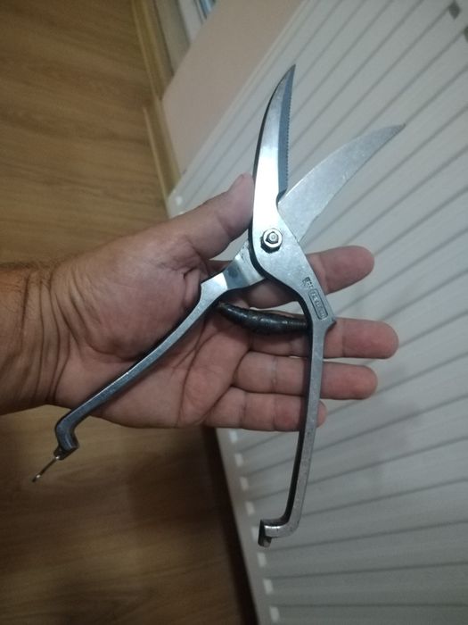 Маркова ножица са пернати