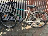 Bicicletă adulți