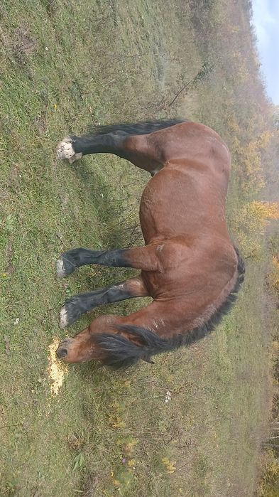 Vand ce se vede mai multe detali la telefon