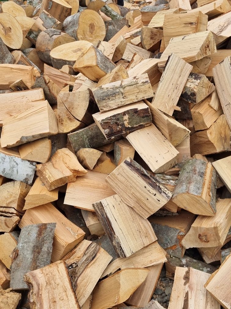 Vindem lemn de foc verzi și uscate esenta