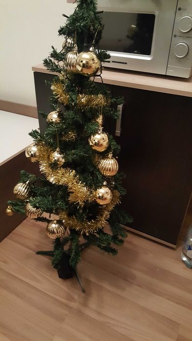 Bradut impodobit 1+1 gratuit 1m inaltime cu auriu