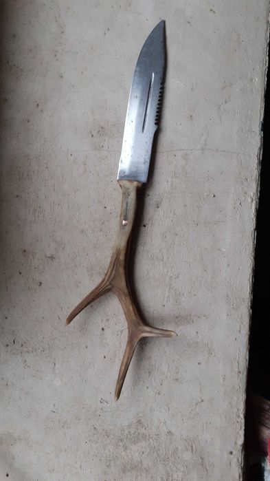Cutit vanatoare + trofeu coarne cerb