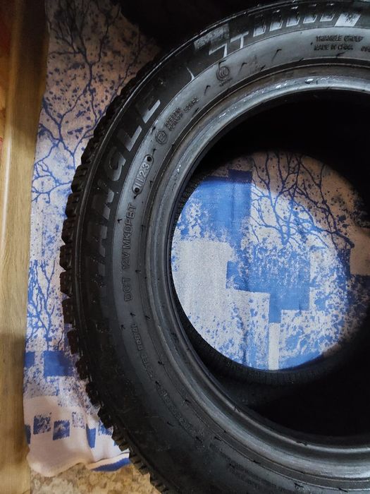 Зимний шины  Triangle