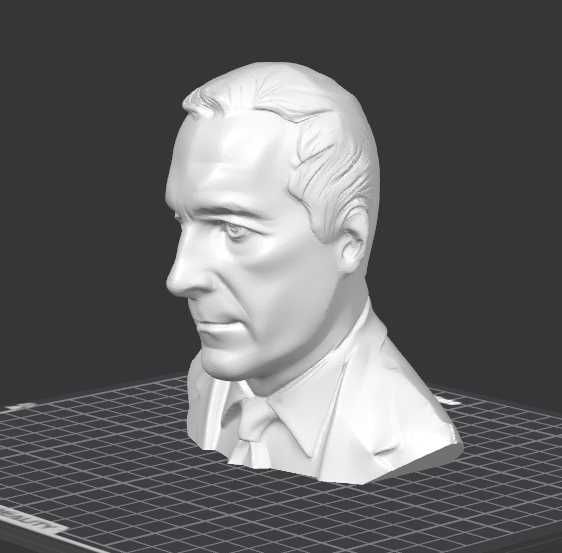 Bust Călin Georgescu
