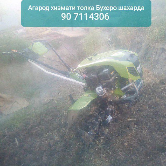 Лабо хизмати Бухоро шахар