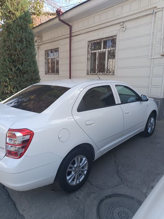 Cobalt mcm style. Nomer taqilgan.