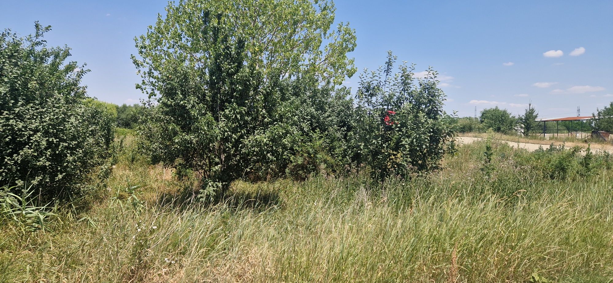 Vand teren in Buziasului 3415 mp