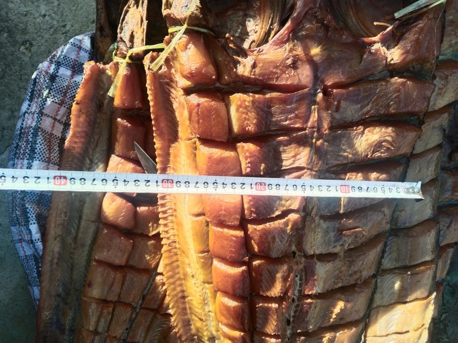 Продам копчёную рыбу с Балхаша каждый день свежий завоз есть змейголов